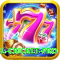 bbl cricket Casino Official v4.0.3