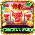 bet365 cricket Ultimate Casino App