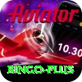 bingo Max Pro v2.7.5