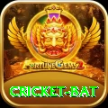 cricket bat Master Pro v4.6.5