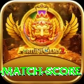 cricket match score VIP v3.1.3