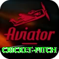 cricket pitch Ultimate v2.6.2