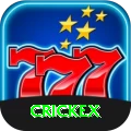 crickex Plus vv2.0.8