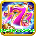 david gower Premium Edition v4.9.0