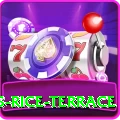 dhampus rice terrace Gold v2.0.9