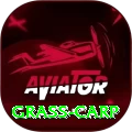 grass carp Pro1 v1.9.7