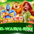 imad wasim spin Master Pro v3.9.8