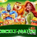 india cricket match Gold Pro v2.6.7