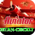 india pakistan cricket Ultimate v3.0.3