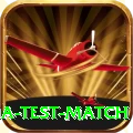 india test match Gold Edition v5.7.0