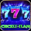 ireland cricket team Pro Max v1.6.1