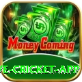 live cricket app Deluxe v2.8.6