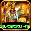 make money betting cricket pk Gold Edition v3.3.8
