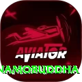 namo buddha namobuddha Pro Edition v5.5.6