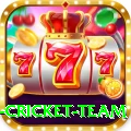 new zealand cricket team Plus v5.2.5