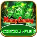 online cricket - Gaming Premium