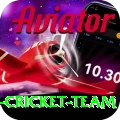 pakistan women cricket team Plus Pro v2.5.9