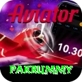 pakrummy Gold Pro v2.6.8