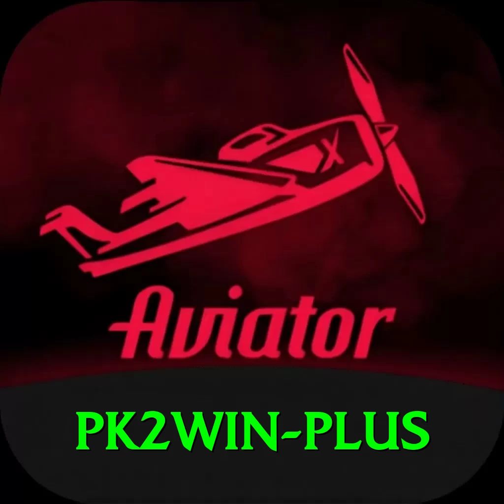 pk2win Deluxe Pro v1.9.8 - 2
