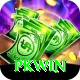 PKWin Master v4.0.0