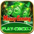 play cricket Deluxe Edition v1.3.2
