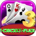 play cricket Gold 2024