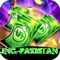 responsible gambling pakistan Pro Max v3.1.5
