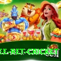 risk free bet cricket VIP v3.8.0