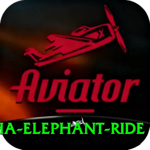 sauraha elephant ride Turbo Pro v5.2.4 - 2