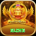 slots VIP Pro v1.4.1