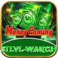 steve waugh Premium Plus v4.7.5