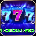 test cricket Casino Prime v4.0.2