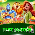 test match Max v2.4.1