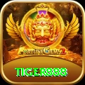 tiger888 Gold Pro vv3.8.3