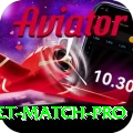 to day cricket match Deluxe PK v5.2.8