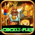 watch live cricket King Jackpot