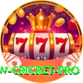 willow cricket Max APK v2.0.2