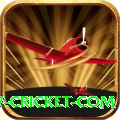 www cricket com Turbo Pro v4.0.7